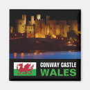 Recherche de dragons magnets Château