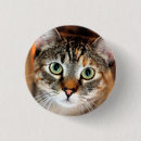 Search for kittis buttons Friend