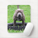 Search for adult mousepads Dog
