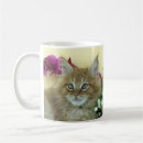 Search for maine coon mugs Beautiful
