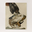 Recherche de queues puzzles Oiseau