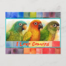 Search for conure postcards Green cheeked conure