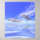 Search for blue dolphins posters Animals