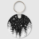 Search for northern lights aurora keychains Galaxy