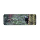 Search for yosemite return address labels Forest