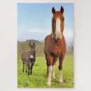 Recherche de horse puzzles Cheval