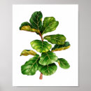 Search for fig art Green