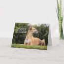 Search for greyhound birthday cards Funny
