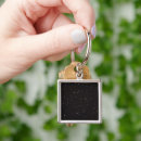 Search for evolution square keychains Astronomy
