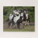 Search for gypsy vanner horse puzzles Breed