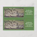 Search for rising postcards Bird