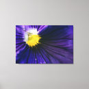 Search for pansies canvas prints Nature