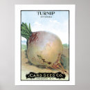 Search for vintage seed packets posters Garden