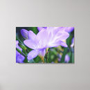 Search for freesias art Flower