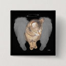Recherche de ange de chat badges Pour tous
