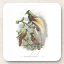 Search for bird coasters Exotic