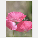 Search for floral magnets Pink