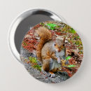 Search for furry buttons Squirrel