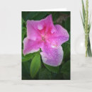 Search for azalea cards Nature