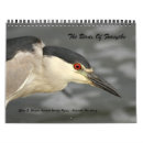 Search for refuges photography Wildlife