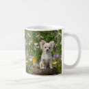 Search for long haired chihuahua mugs Puppy
