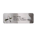 Search for ivy return address labels Nature