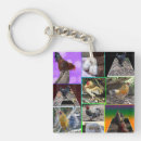 Search for cute chickens keychains Hens