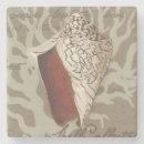 Search for seaside coasters Seashells
