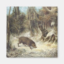 Search for faking magnets Animals