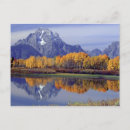 Search for grand teton mountains postcards Forest