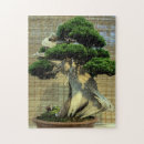 Recherche de chinois puzzles Vert