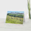 Search for custer cards Black hills