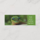 Recherche de gecko cartes visite Vert
