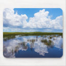 Search for swamp electronics Florida