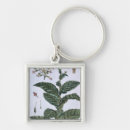 Recherche de veggie porteclés Fruit