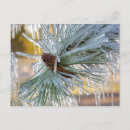 Search for bend oregon postcards Winter