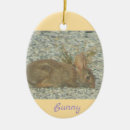 Search for easter bunny ornaments Animals