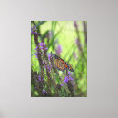 Search for purple butterfly canvas prints Floral