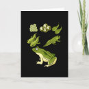 Search for biology cards Teacher