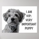 Search for cute puppy posters Quote