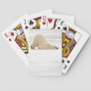 Search for danita delimont playing cards Animal