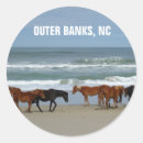 Search for carova beach North carolina