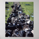 Search for coed posters Farm