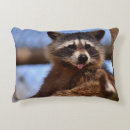 Search for raccoon pillows Funny