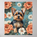 Search for yorkshire terrier posters Puppy