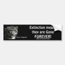 Search for leopard cat bumper stickers Animals