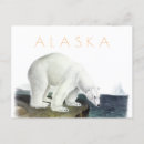 Search for bear stamp posters Travel