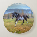 Recherche de chevalier à cheval coussins Étalon pinto