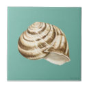 Recherche de rayé carreaux Mer