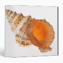 Search for fragile binders Sealife